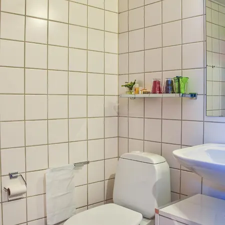 Cozy In With Kitchen Apartment Lemvig
